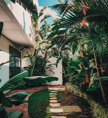 Vertical Gardening Services In Thane