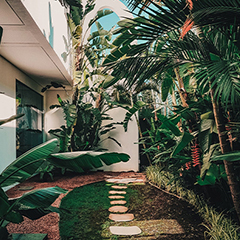 Tree Trimming Services In Thane