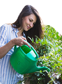 Green Waste Management Service In Thane